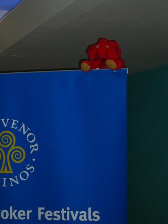 mini-red finds the best seat in the house